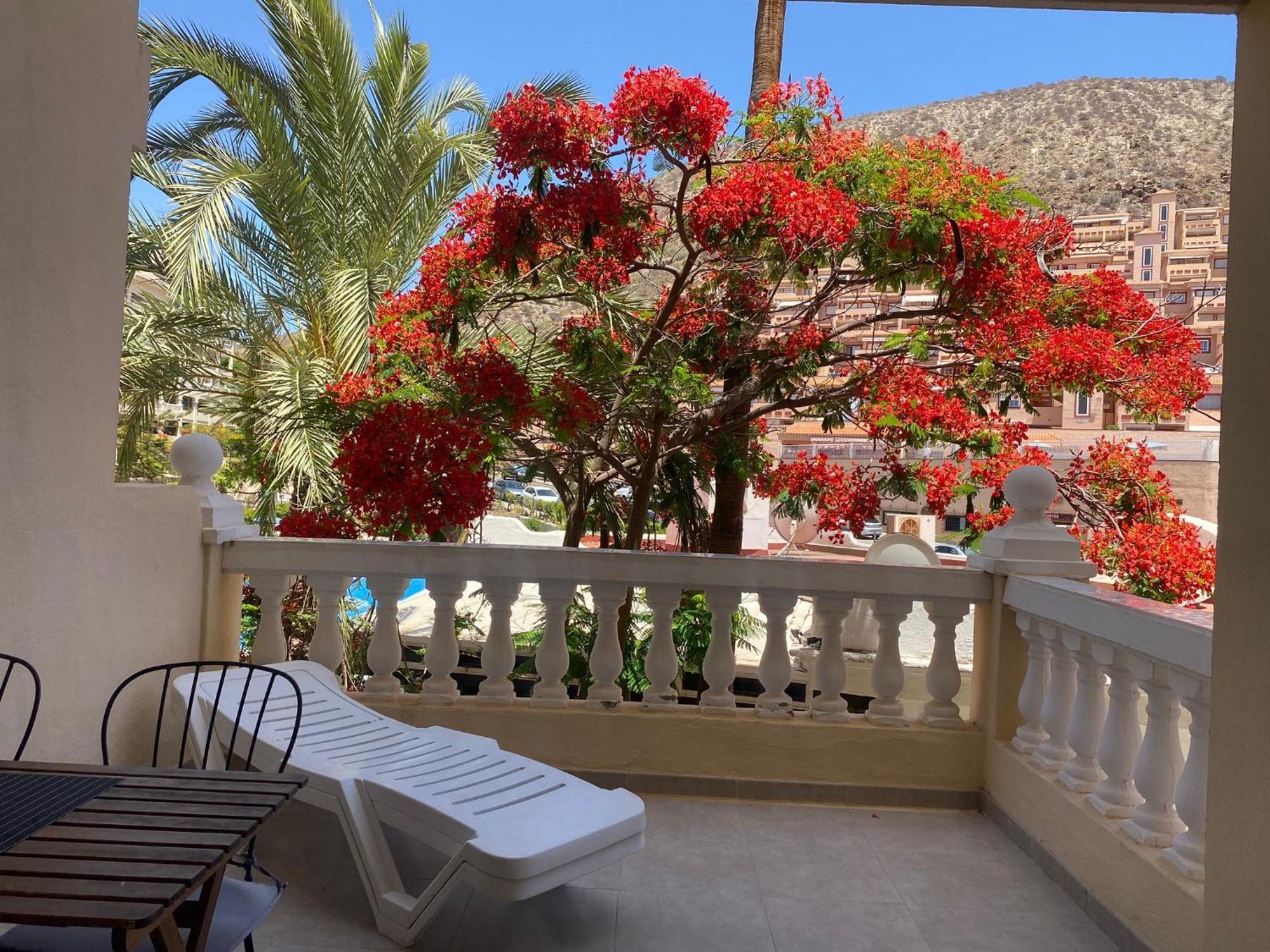 Castle Harbour Samuel'S Studio Flat By Lovetenerife Лос Кристианос Экстерьер фото